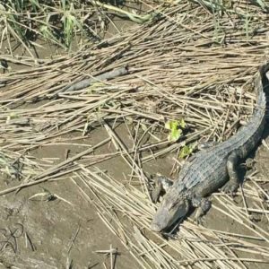 20150503_162427_1920-768x512