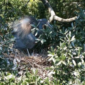 20150619_120253_1920-768x512