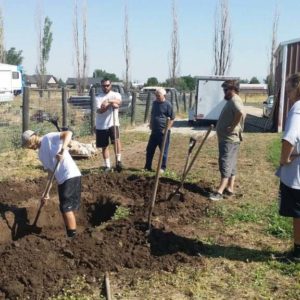 20150703_101948-1024x576