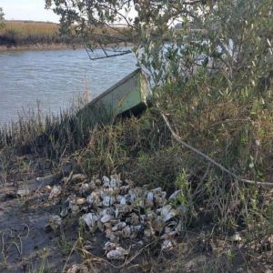 20161215_144339_1920-768x512