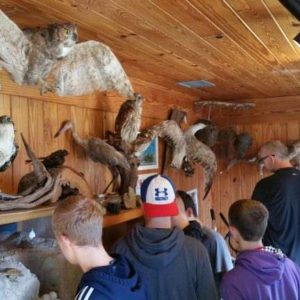 20161217_101217-768x432