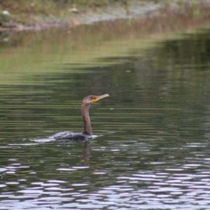 IMG_3064_960-768x512