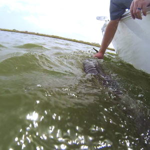 Main.00_01_00_05.Still002