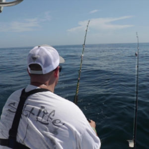 Salt Memories.00_03_09_49.Still002