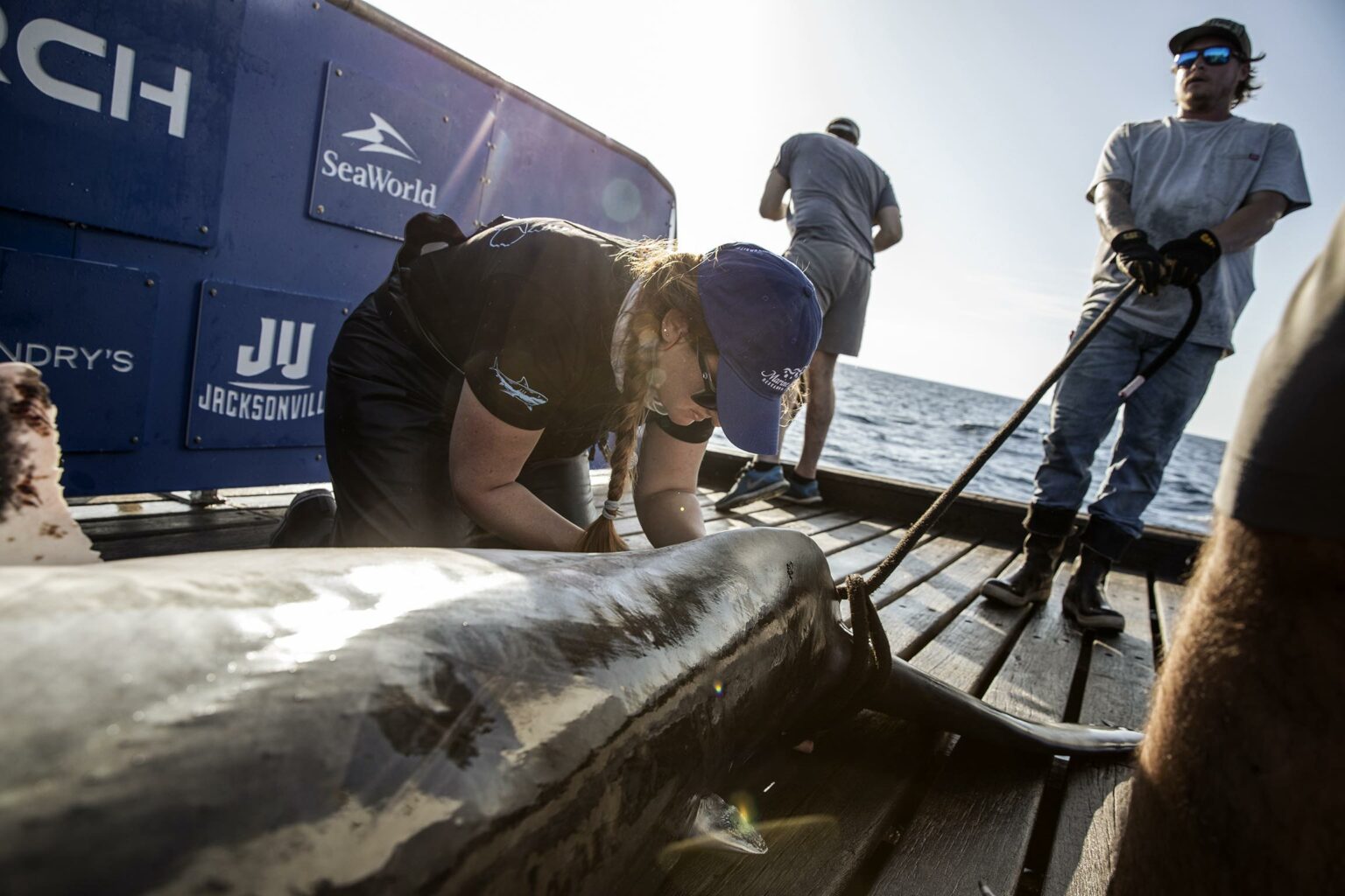 04202023_OCEARCH_ExpeditionNorthbound2023_ChrisRoss_Umi_K5A5669