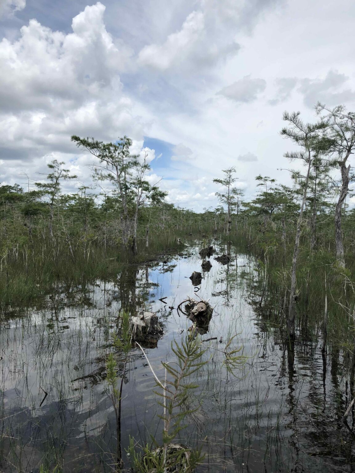 Credit Melissa Abdo_NPCA_Big Cypress Seismic Survey