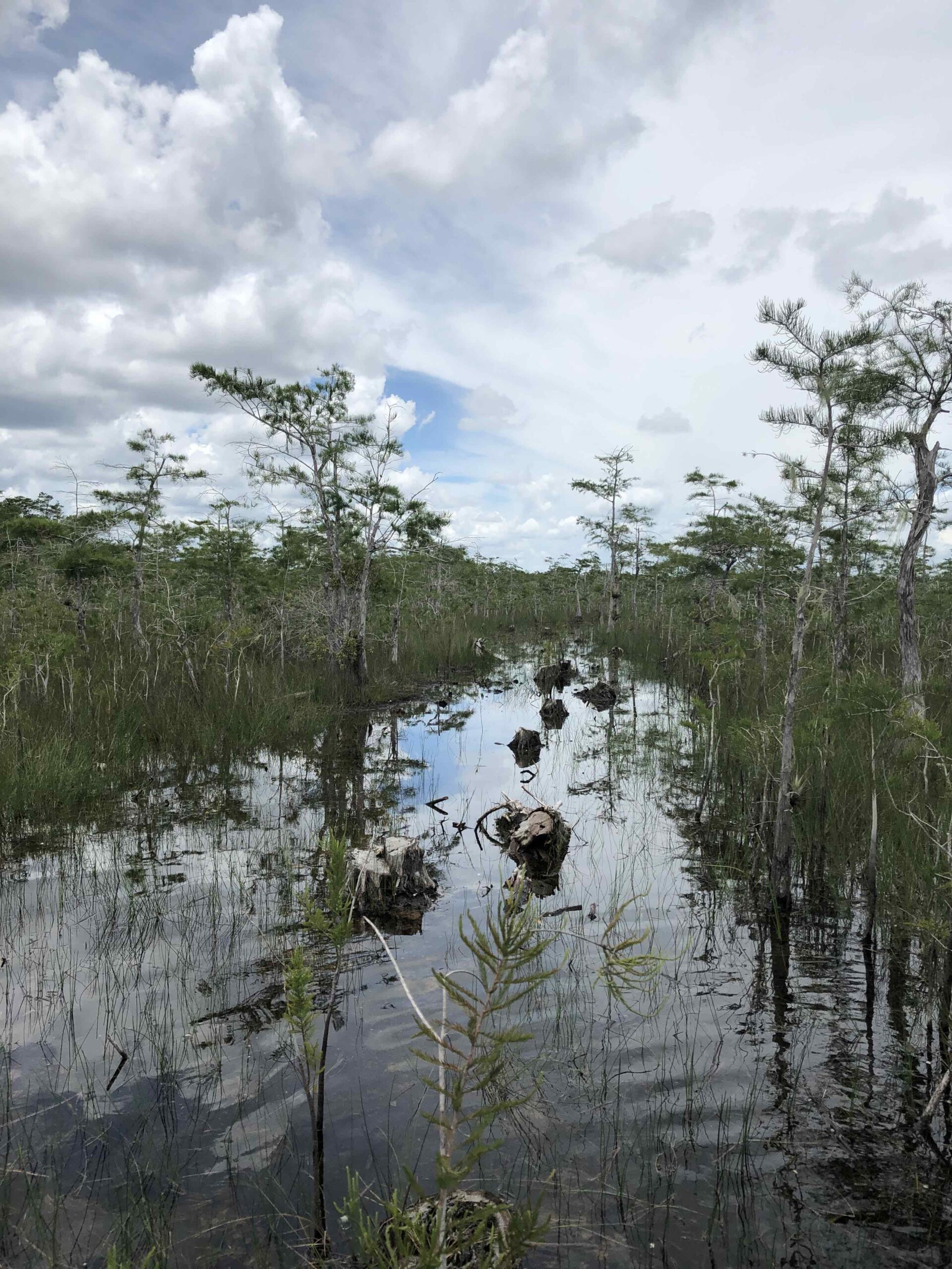 Credit Melissa Abdo_NPCA_Big Cypress Seismic Survey