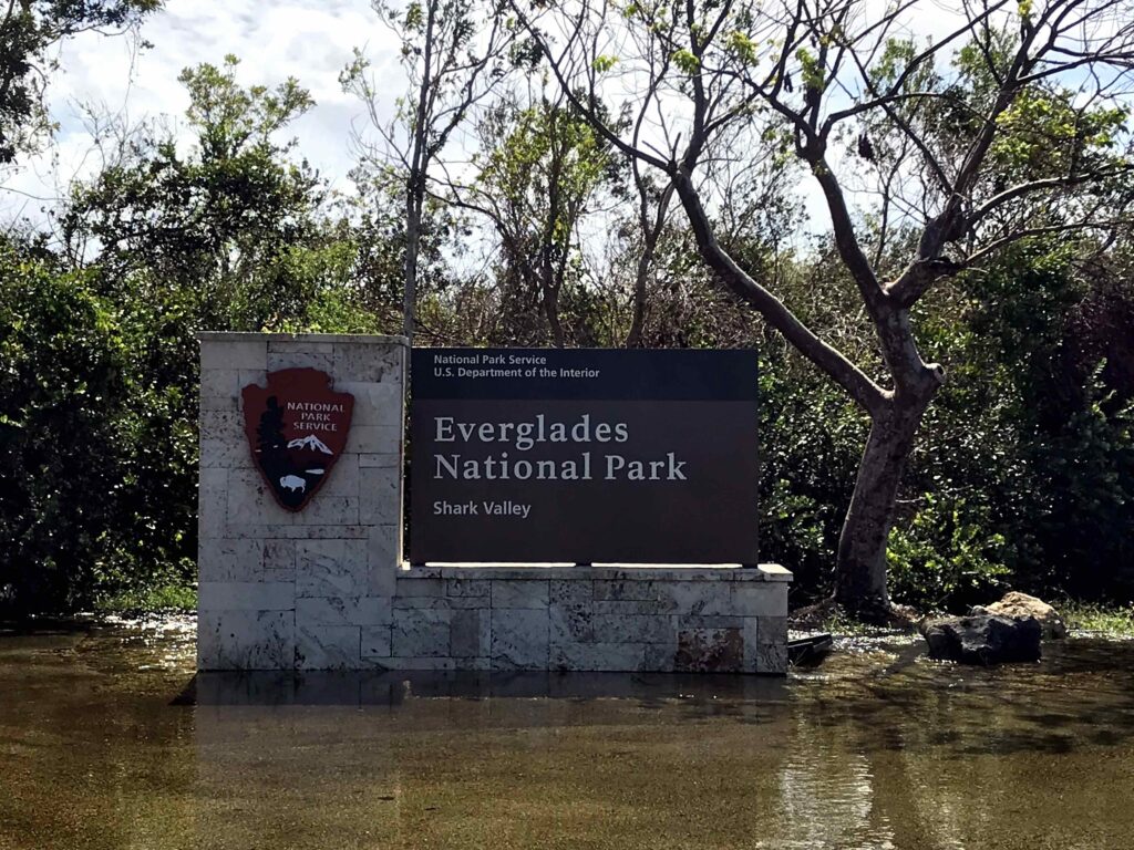 ENP Flooding_Credit Adornato