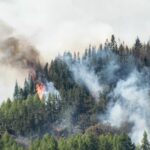 Smoke and flames rising from a burning pine forest on a hot summer day